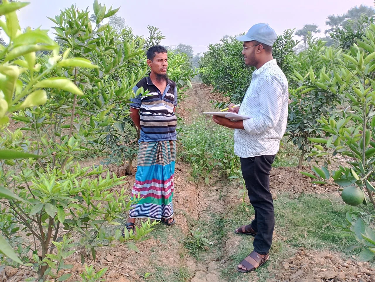 Data collection on citrus greening from Tarash, Sirajganj
